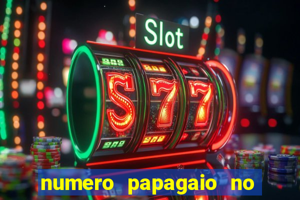 numero papagaio no jogo do bicho